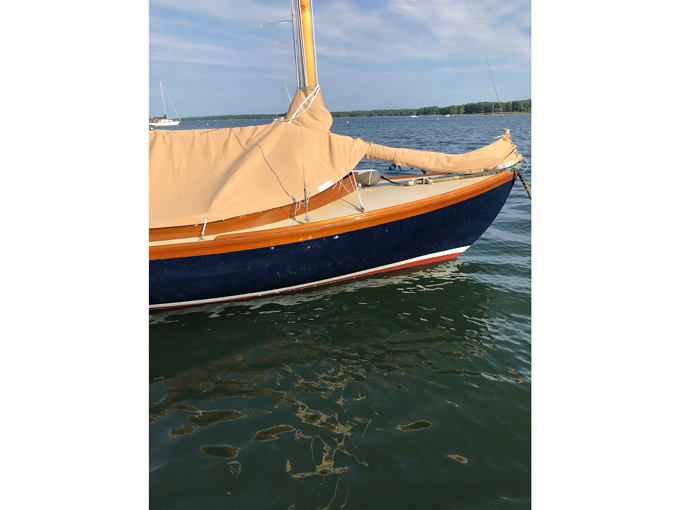 Doughdish 544 - STELLINA